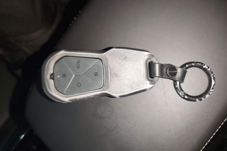 Used XPeng P5 2021 550G Vehicle Key