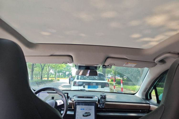 Used XPeng P5 2021 460G Headliner