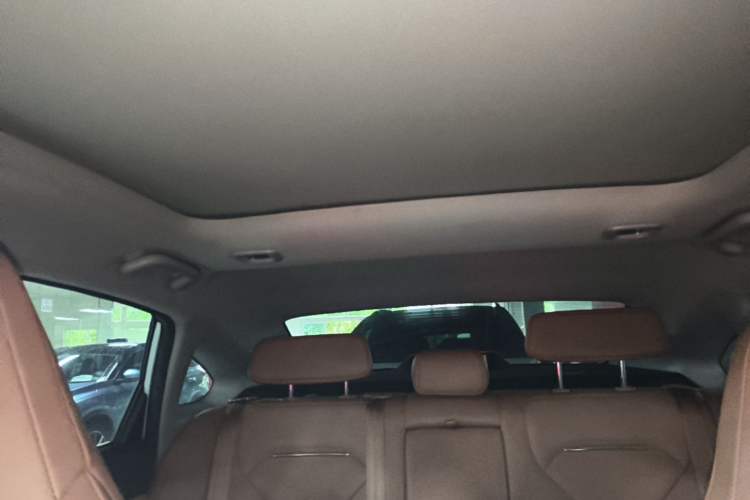 Used XPeng P5 2021 550E Headliner