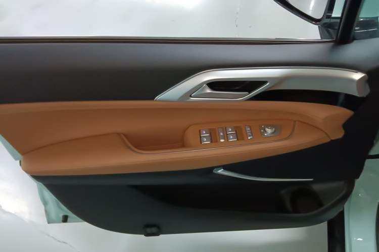 Used XPeng P5 2021 600P Left Front Door Interior