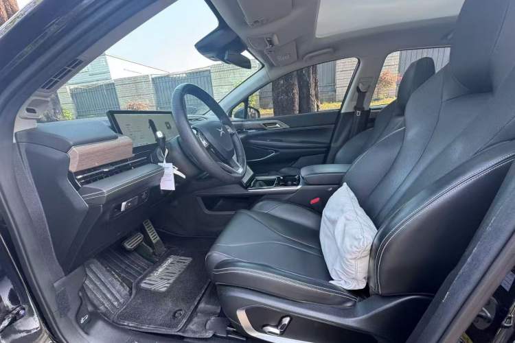 Used XPeng P5 2021 550E Left Front Seat
