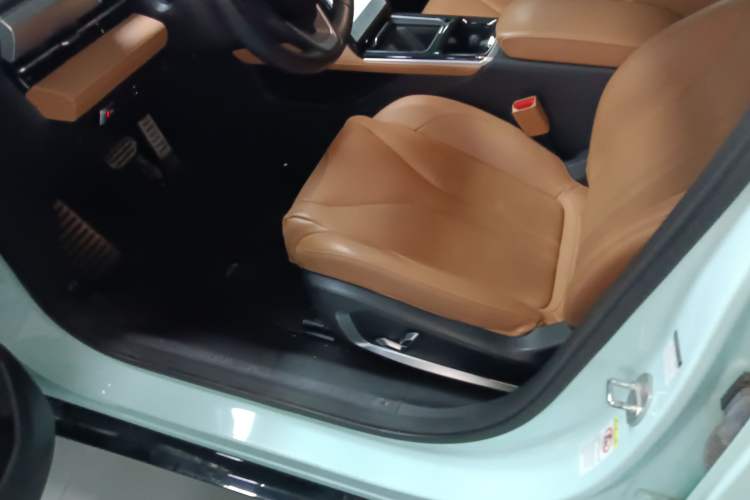 Used XPeng P5 2021 600P Left Front Seat