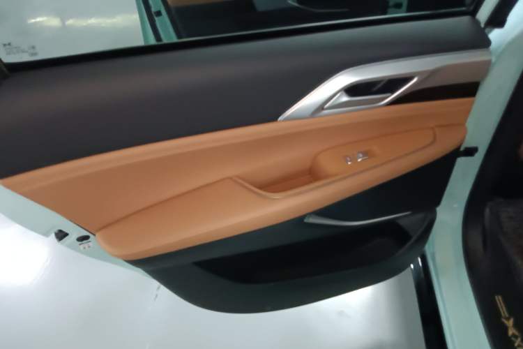 Used XPeng P5 2021 600P Left Rear Door Interior