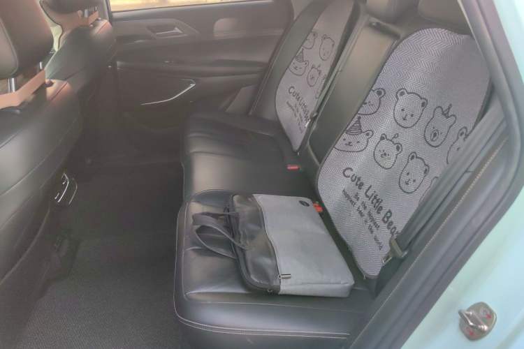 Used XPeng P5 2021 600P Left Rear Seat