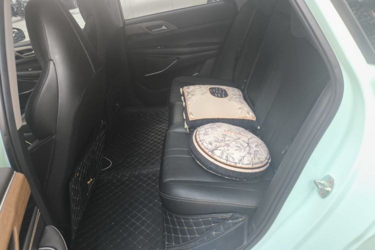 Used XPeng P5 2021 460G+ Left Rear Seat