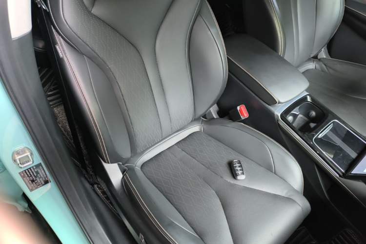 Used XPeng P5 2021 550P Right Front Seat