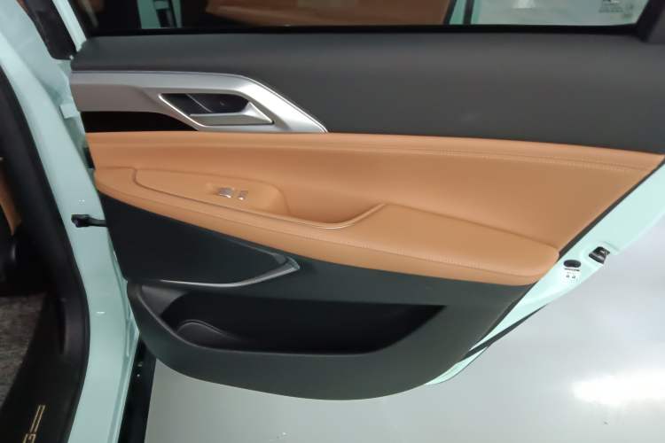 Used XPeng P5 2021 600P Right Rear Door Interior