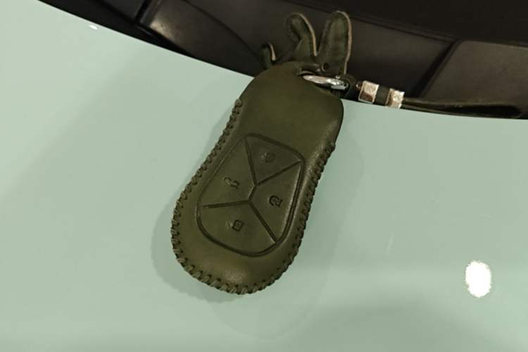Used XPeng P5 2021 550P Vehicle Key