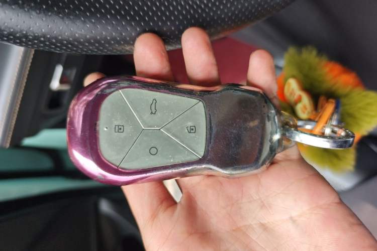 Used XPeng P5 2021 460G Vehicle Key