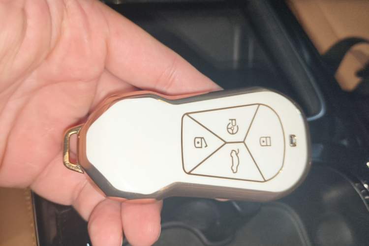 Used XPeng P5 2021 550E Vehicle Key