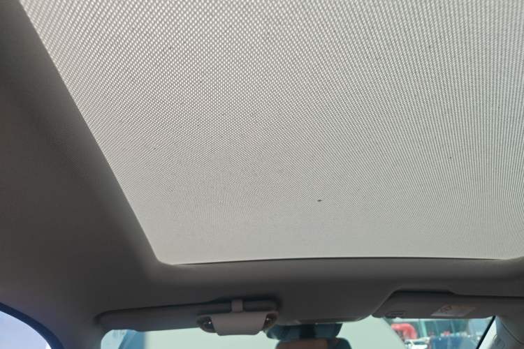 Used XPeng P5 2021 550E Headliner
