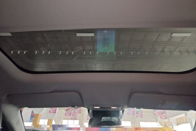 Used XPeng P5 2021 600P Headliner