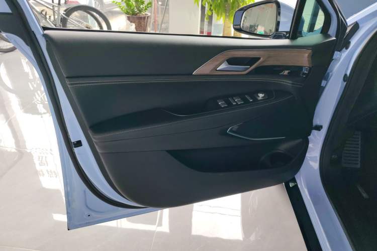 Used XPeng P5 2021 550G Left Front Door Interior