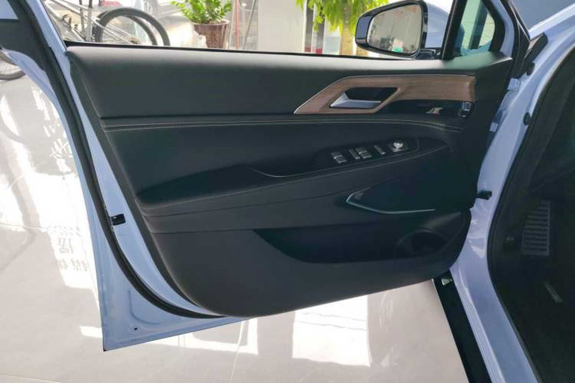 Used XPeng P5 2021 550G Left Front Door Interior