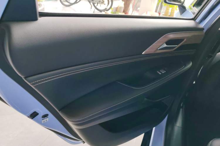 Used XPeng P5 2021 550G Left Rear Door Interior