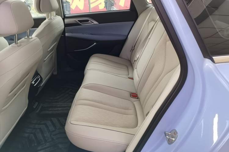 Used XPeng P5 2021 550E Left Rear Seat
