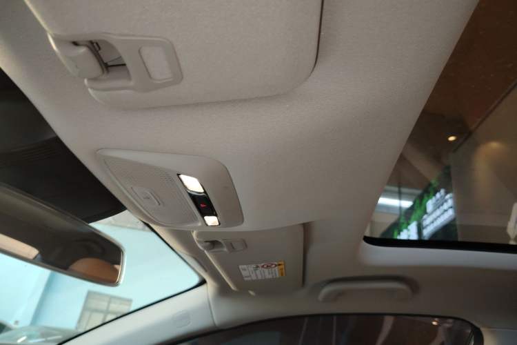 Used XPeng P5 2021 550E Headliner