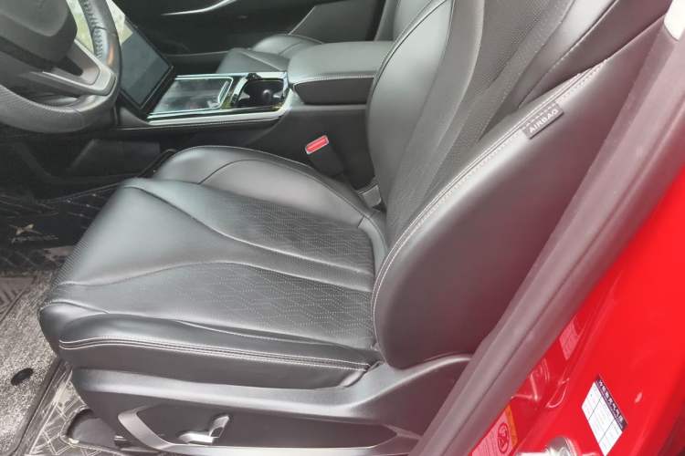 Used XPeng P5 2021 550E Left Front Seat