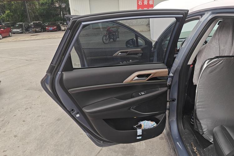 Used XPeng P5 2021 460G+ Left Rear Door Interior