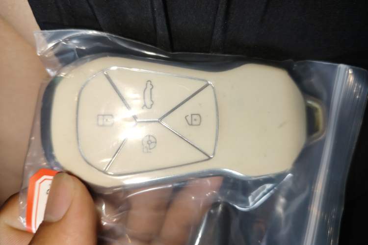 Used XPeng P5 2021 550E Vehicle Key