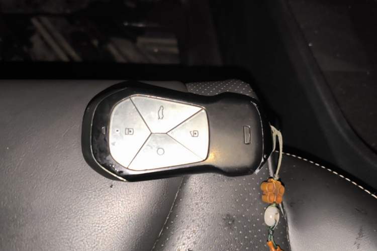 Used XPeng P5 2021 460G+ Vehicle Key