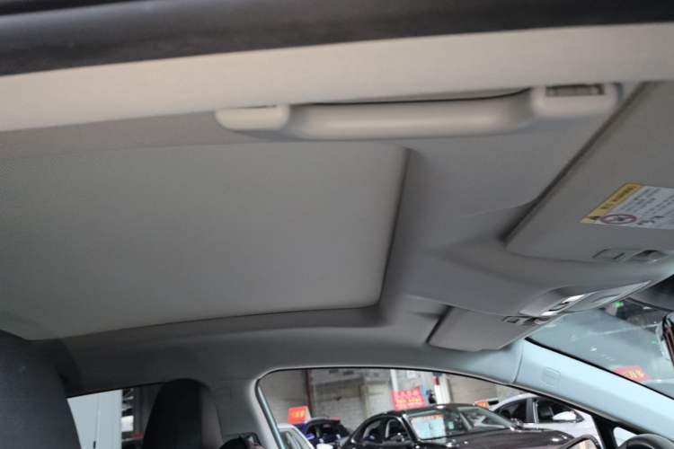Used XPeng P5 2021 550G Headliner