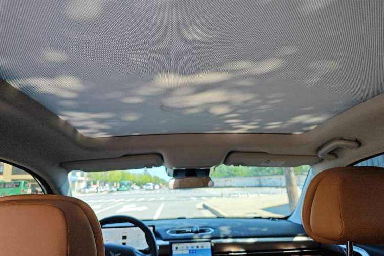 Used XPeng P5 2021 600P Headliner