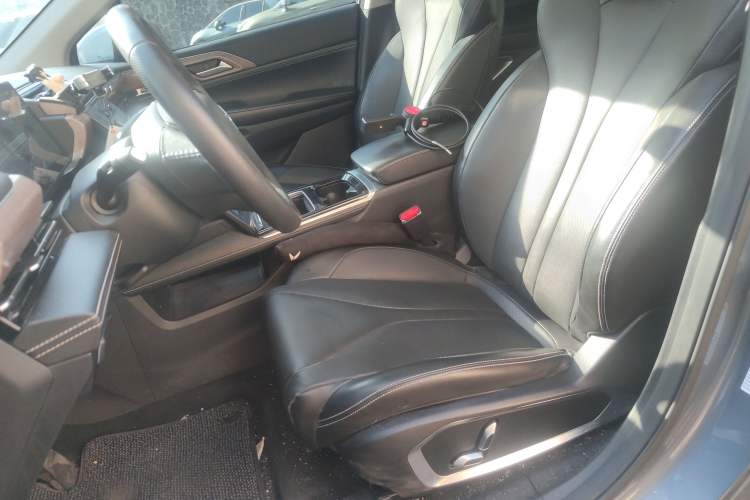 Used XPeng P5 2021 550G Left Front Seat