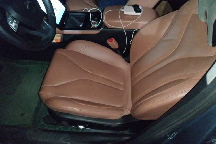 Used XPeng P5 2021 600P Left Front Seat