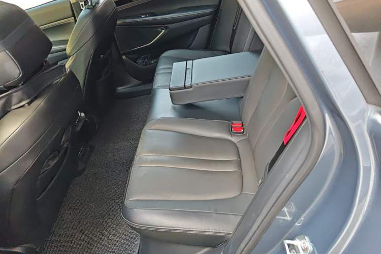 Used XPeng P5 2021 550P Left Rear Seat