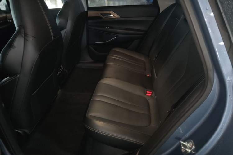 Used XPeng P5 2021 460G+ Left Rear Seat