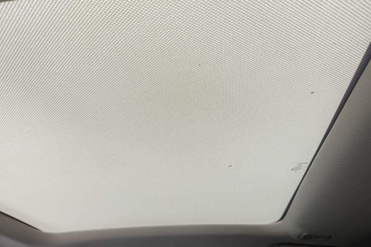 Used XPeng P5 2021 550G Headliner