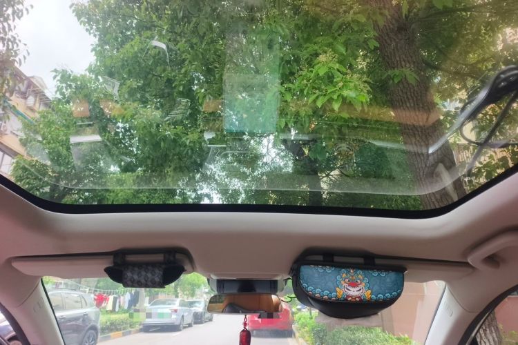Used XPeng P5 2021 600P Headliner