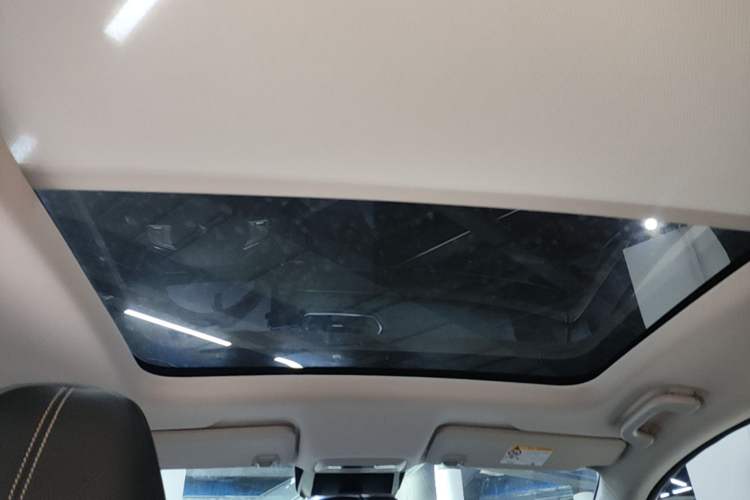 Used XPeng P5 2021 550G Headliner