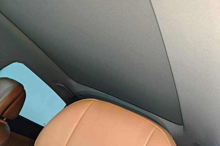 Used XPeng P5 2021 550E Headliner