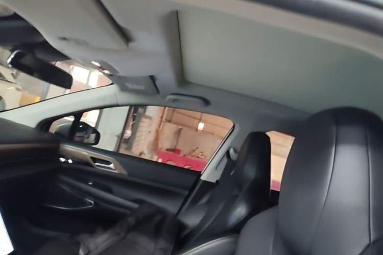 Used XPeng P5 2021 460G Headliner