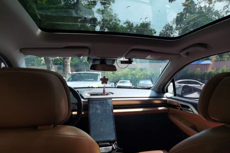 Used XPeng P5 2021 460G Headliner