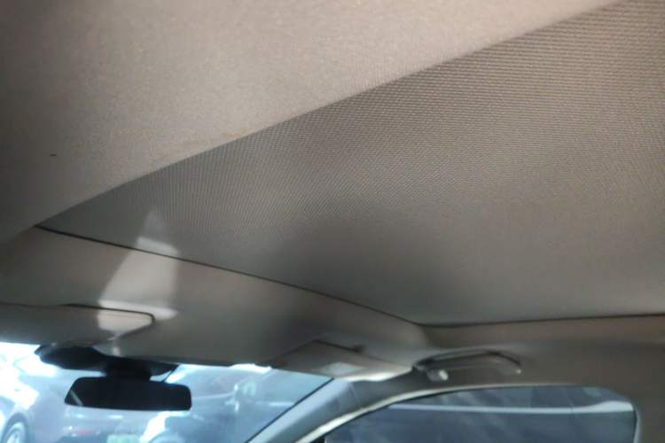Used XPeng P5 2021 460G Headliner