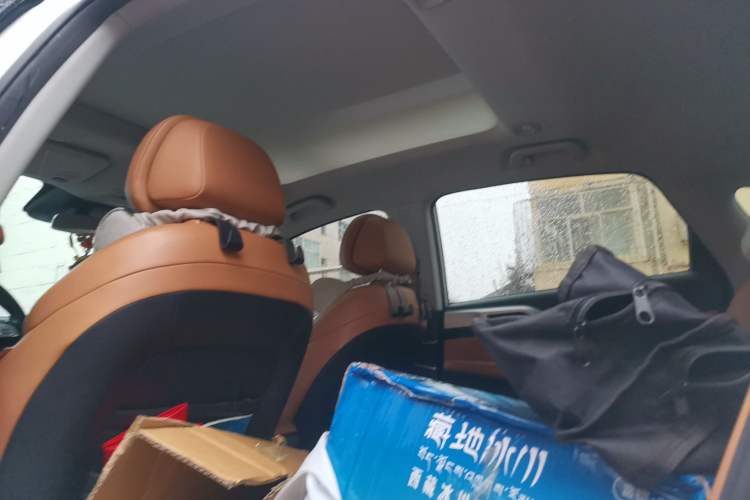 Used XPeng P5 2021 600P Headliner
