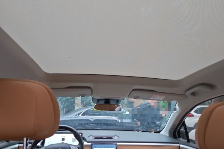 Used XPeng P5 2021 600P Headliner