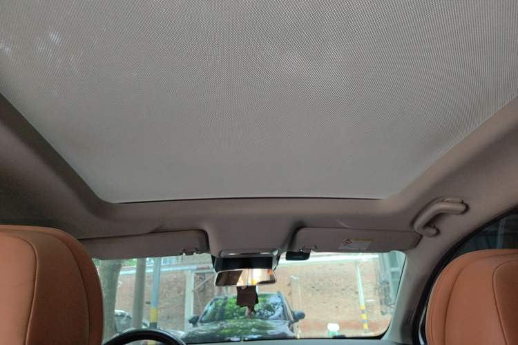 Used XPeng P5 2021 550E Headliner