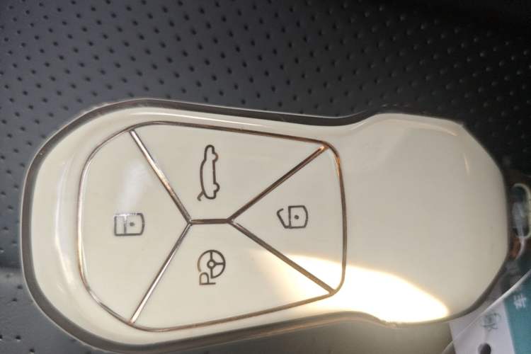 Used XPeng P5 2021 550E Interior 1