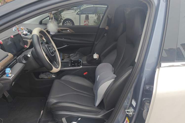 Used XPeng P5 2021 460G+ Left Front Seat