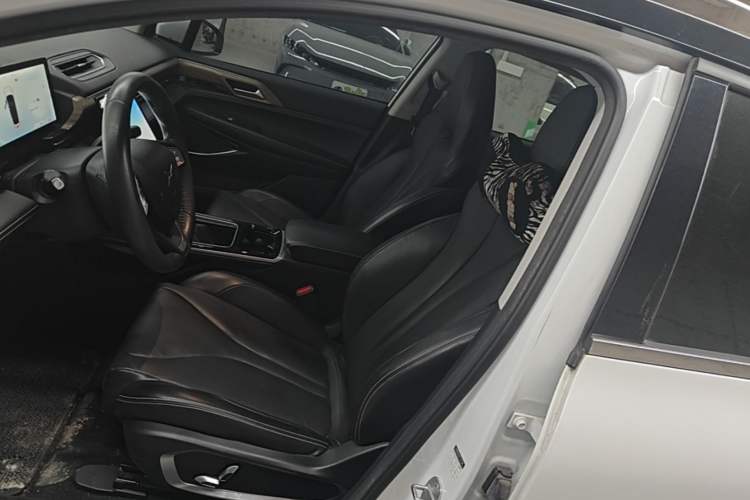 Used XPeng P5 2021 550G Left Front Seat