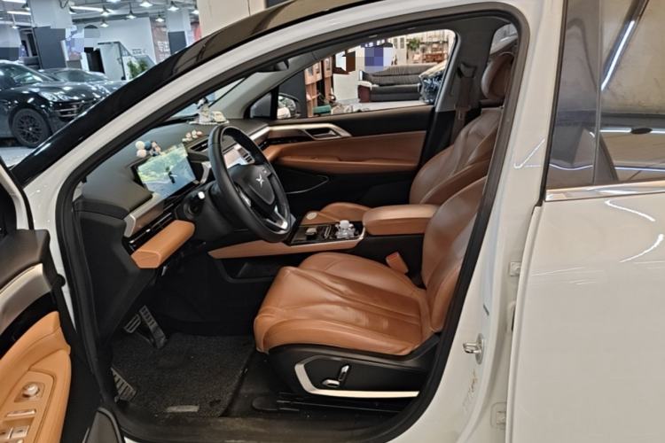 Used XPeng P5 2021 550E Left Front Seat