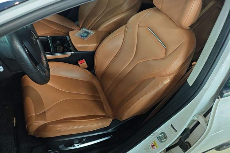 Used XPeng P5 2021 550E Left Front Seat