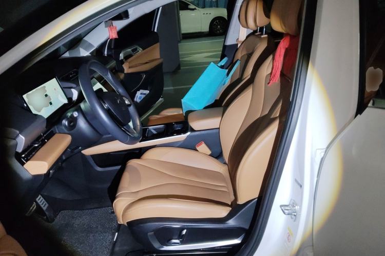 Used XPeng P5 2021 550E Left Front Seat