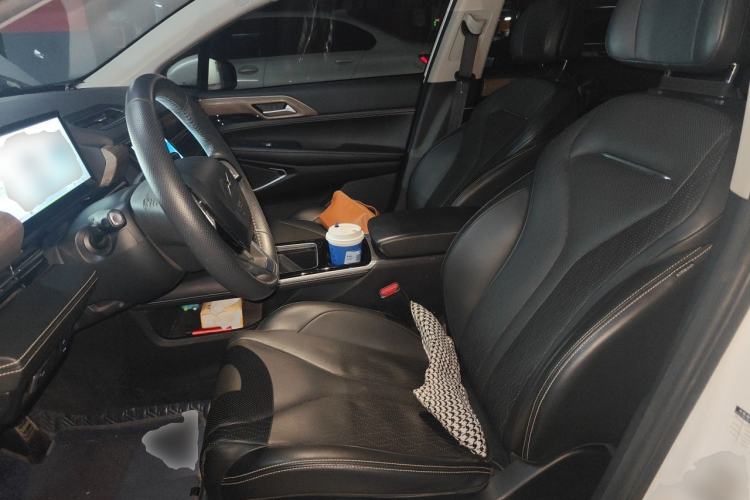 Used XPeng P5 2021 510E Left Front Seat