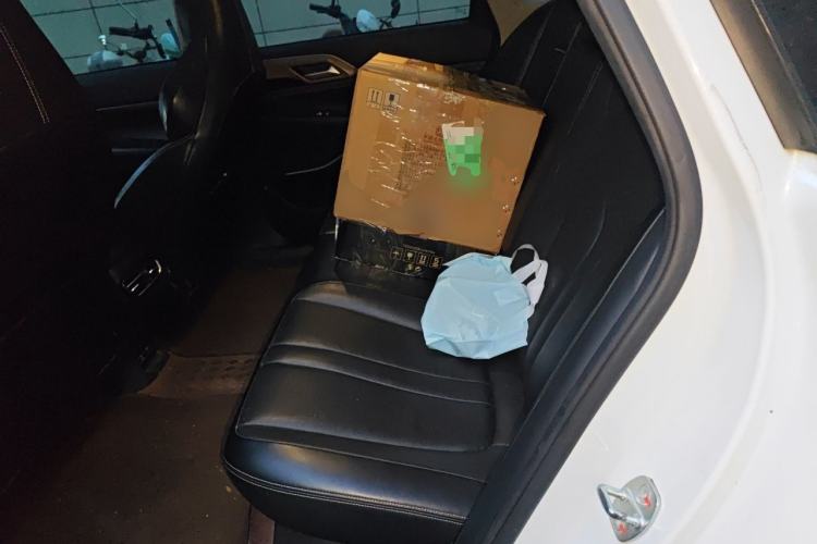Used XPeng P5 2021 460G+ Left Rear Seat