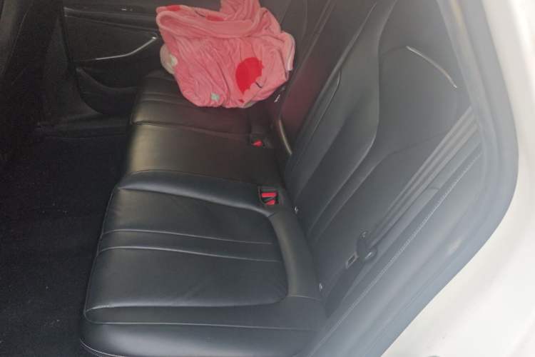 Used XPeng P5 2021 460G+ Left Rear Seat